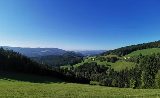 Motorradurlaub im Grenzgebiet Oststeiermark-Südburgenland © Leberzipf Didi Grüne Hügel, Wald und klare blaue Himmel