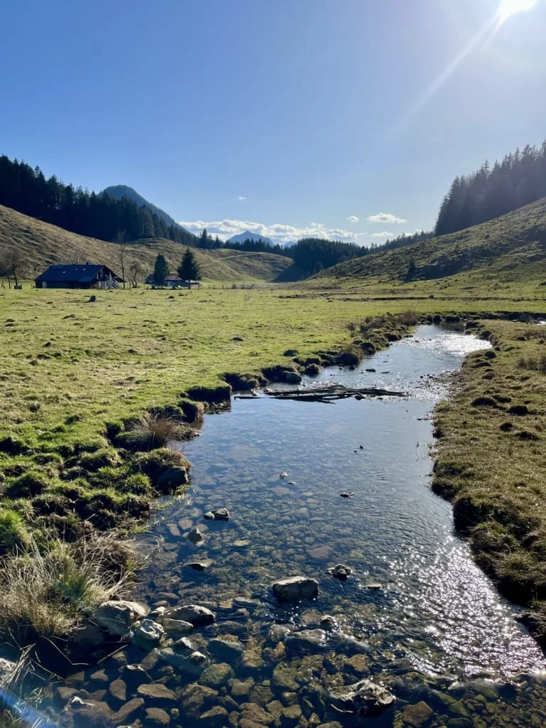Fastenwandern nach Buchinger Klares Bachwasser fließt durch eine grüne Wiese mit Hügeln und Wald im Hintergrund