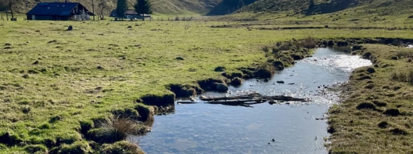Fastenwandern nach Buchinger Klares Bachwasser fließt durch eine grüne Wiese mit Hügeln und Wald im Hintergrund