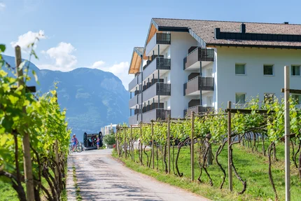 Weinreben vor modernem Gebäude mit Bergen im Hintergrund