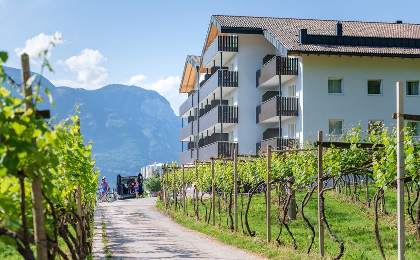 Weinreben vor modernem Gebäude mit Bergen im Hintergrund