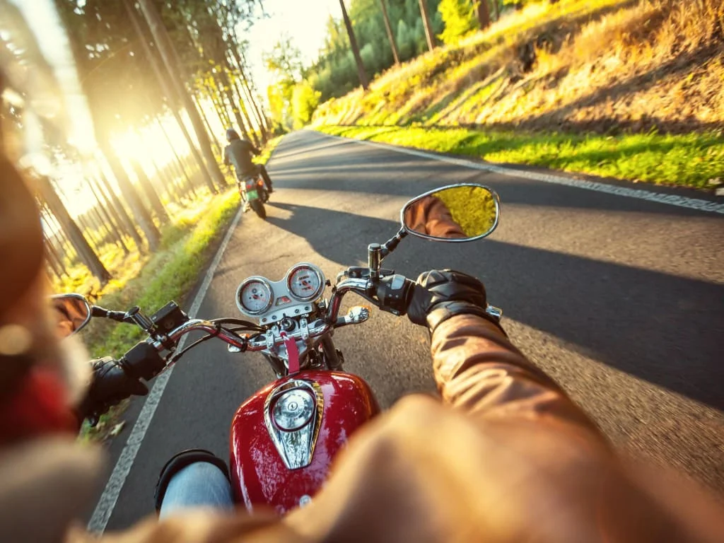 Motorcyclists riding on sunny country road through a forested area