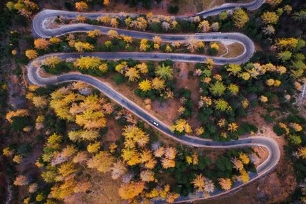Aerial view of a winding road through an autumn forest