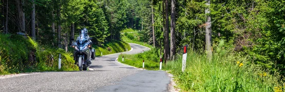 Motorcyclist on winding road through dense green forest