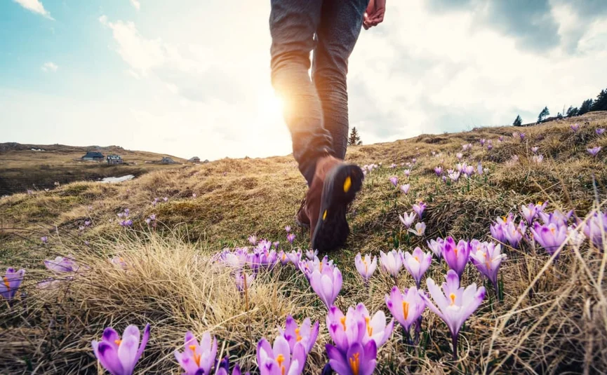 Frühlingsgenuss & Tiefenentspannung Persoon loopt op een met bloemen bedekte heuvel bij zonsondergang