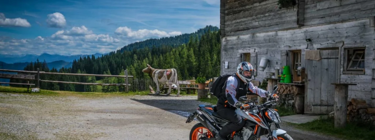Motorcyclist in front of wooden cabin in rural mountain setting with cow nearby
