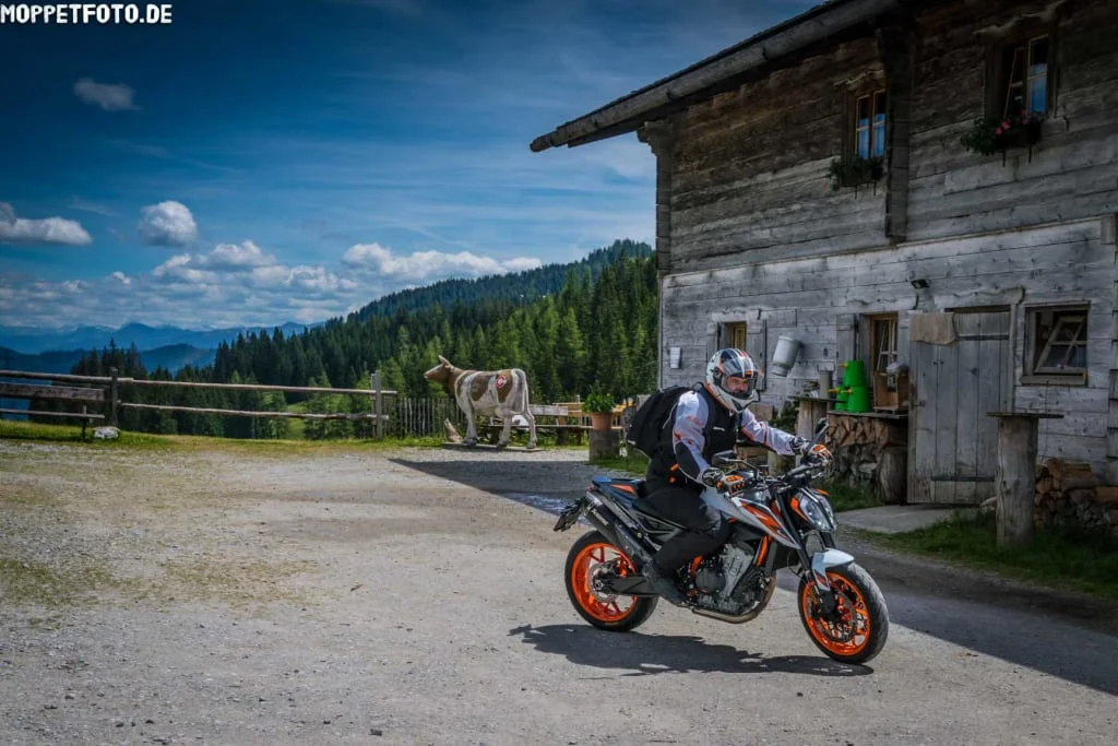 Motorcyclist in front of wooden cabin in rural mountain setting with cow nearby