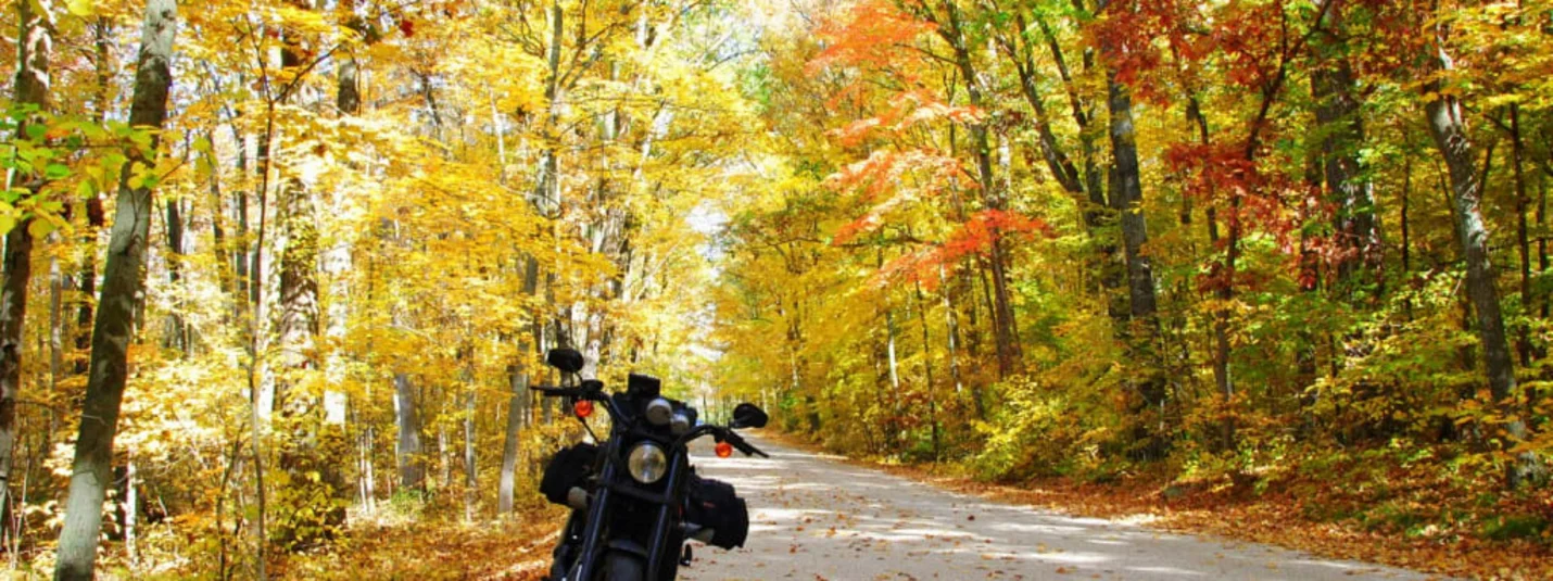 6/7 Nächte - Herbstfarbigen Kurven in Val di Sole Motorrad auf herbstlich gefärbtem Waldweg mit gelben und roten Blättern