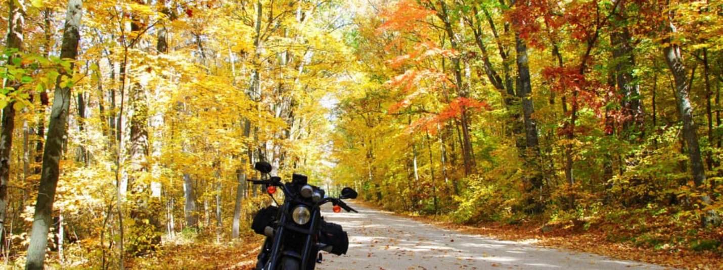 Motorrad auf herbstlich gefärbtem Waldweg mit gelben und roten Blättern