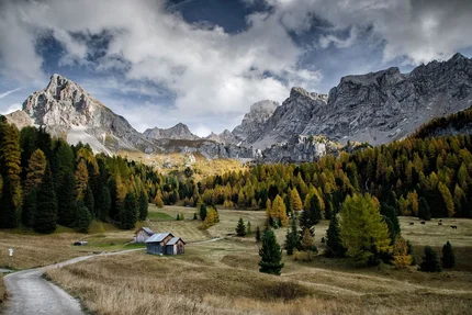 Trail leading to cabins with forested mountains and cloudy sky