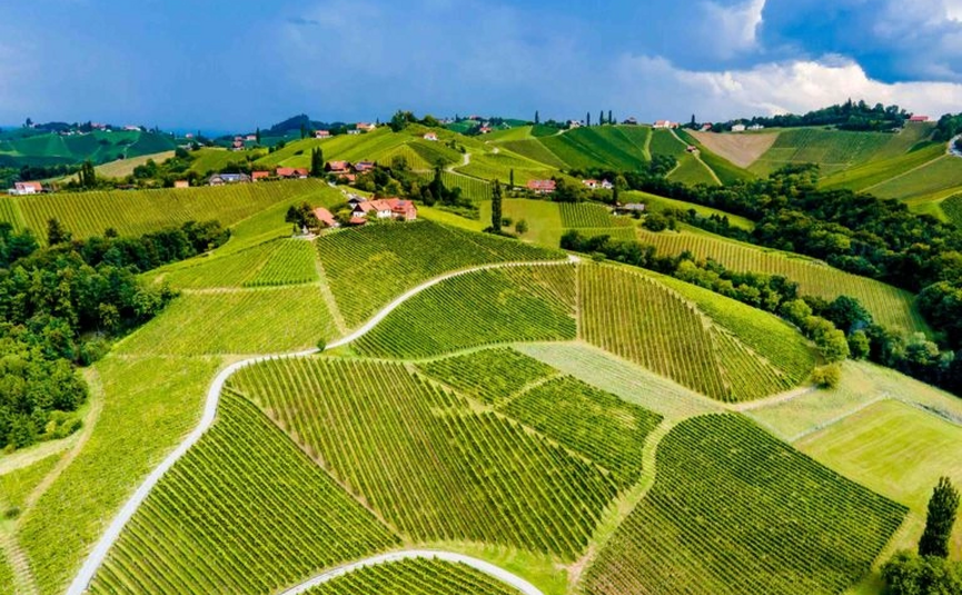 Groene wijngaarden en heuvels met kleine huizen onder een blauwe lucht