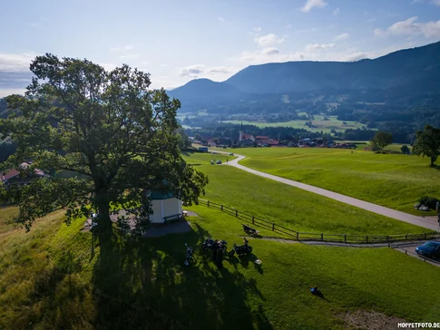 Fahrradfahrer am großen Baum auf grünem Hügel mit Dorf und Bergen im Hintergrund