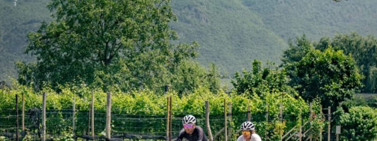 1 Woche Bike & Genuss im Süden Südtirols Zwei Radfahrer fahren auf einer Straße mit Bergen und Weinbergen im Hintergrund