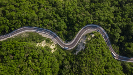 Luchtfoto van kronkelende weg door dicht groen bos