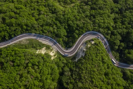 Aerial view of winding road through dense green forest