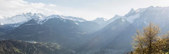 Grüne Wiesen vor schneebedeckten Bergen bei sonnigem Wetter