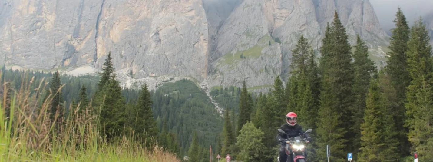 Motorcyclist riding on mountain road with clouds and pine trees