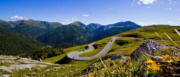 Winding mountain road in green Alps on a sunny day