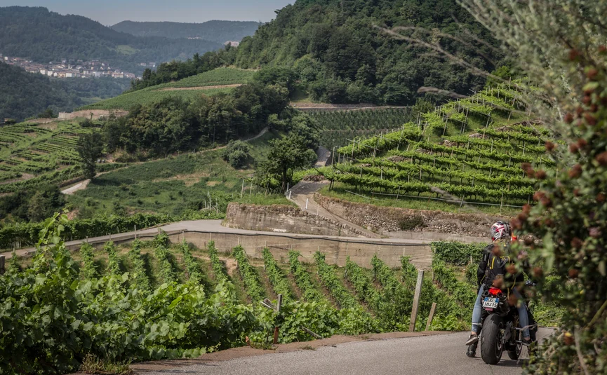 Hotel La Stüa **** © A. Monticelli Motorradfahrer auf kurviger Straße durch grüne Weinberge und Berge