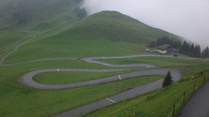 Serpentinenstraße auf grünen Hügeln bei nebligem Wetter