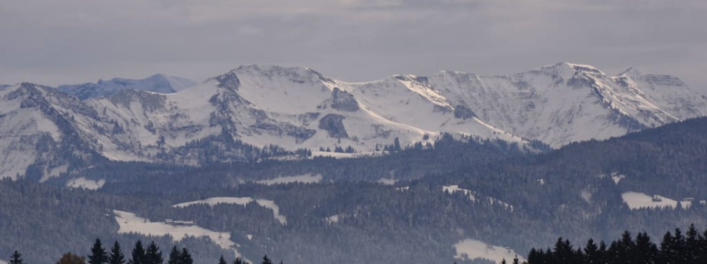Schneebedeckte Berge mit dunklem Wald darunter und bewölktem Himmel
