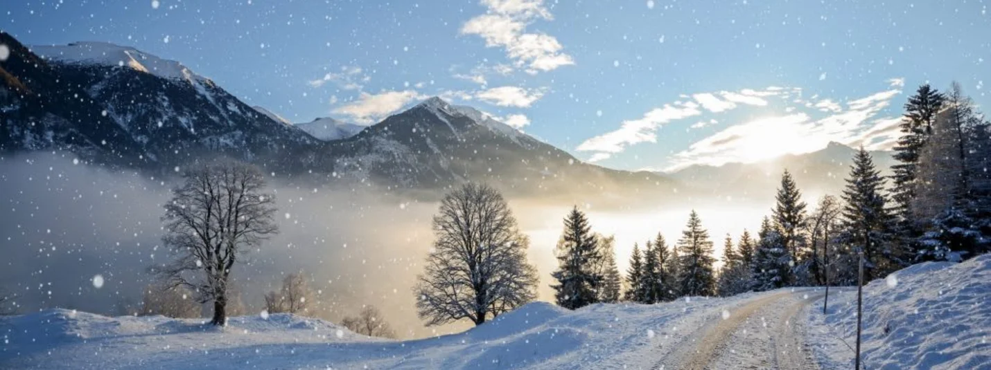 Verschneite Berglandschaft mit Wald, verschneitem Weg und fallenden Schneeflocken