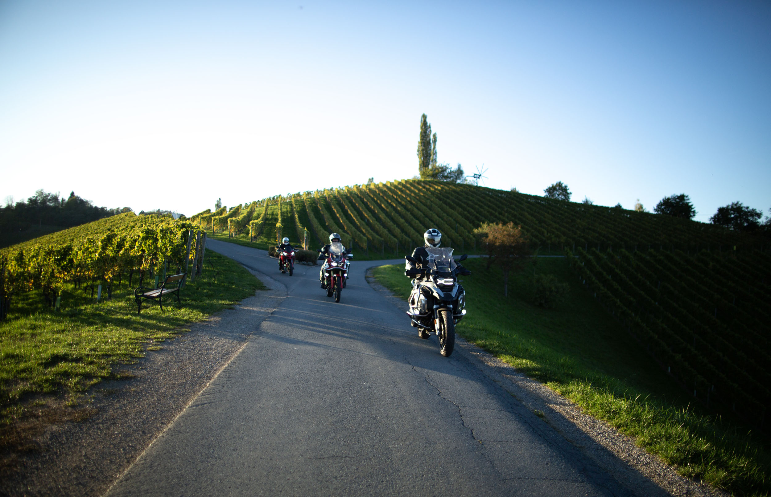 Drei Motorradfahrer auf Landstraße durch sonnige Weinberge