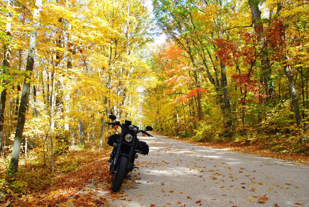 6/7 Nächte - Herbstfarbigen Kurven in Val di Sole Motorrad auf herbstlich gefärbtem Waldweg mit gelben und roten Blättern