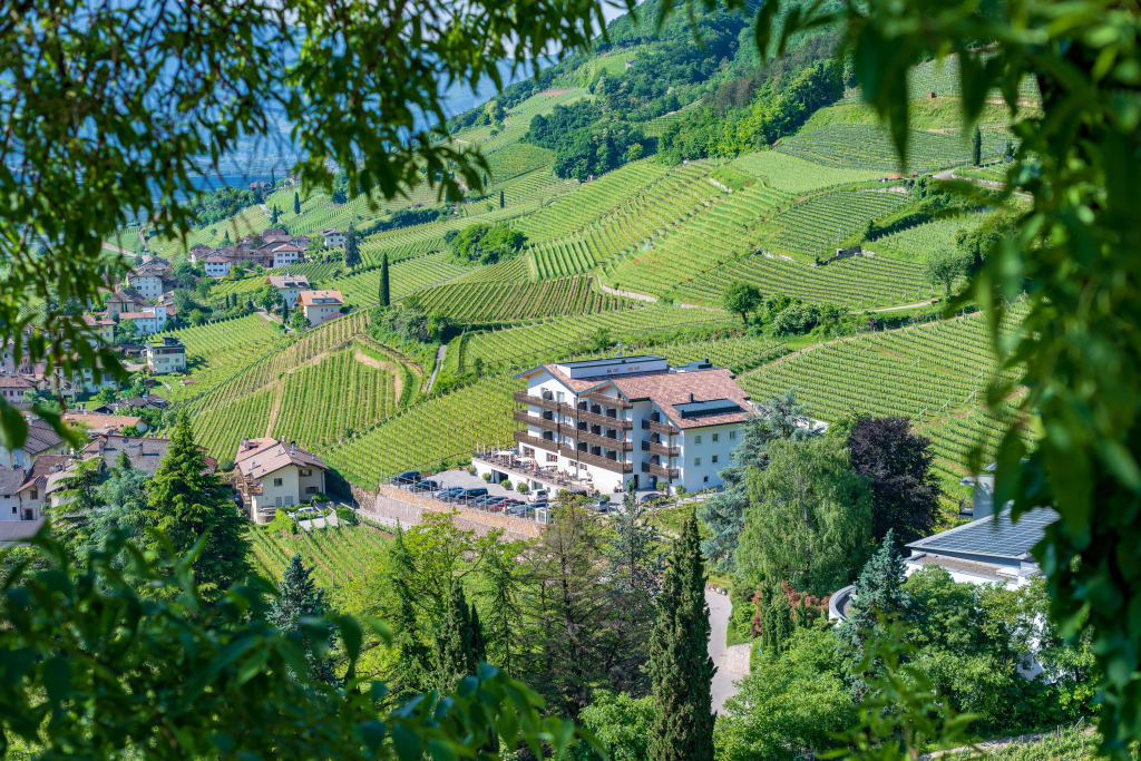 Weinberge und Gebäude an einem grünen Hügel mit Bäumen im Vordergrund