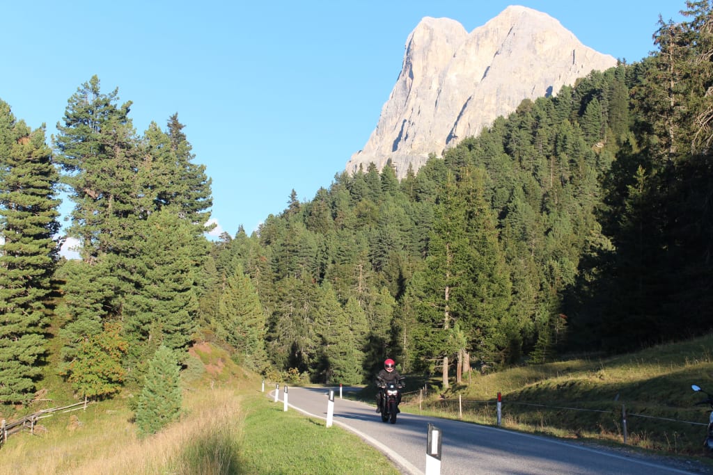 Motorcyclist riding on mountain road surrounded by pine trees and cliffs
