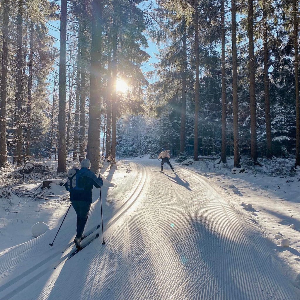 Zwei Langläufer auf schneebedecktem Waldweg bei Sonnenlicht