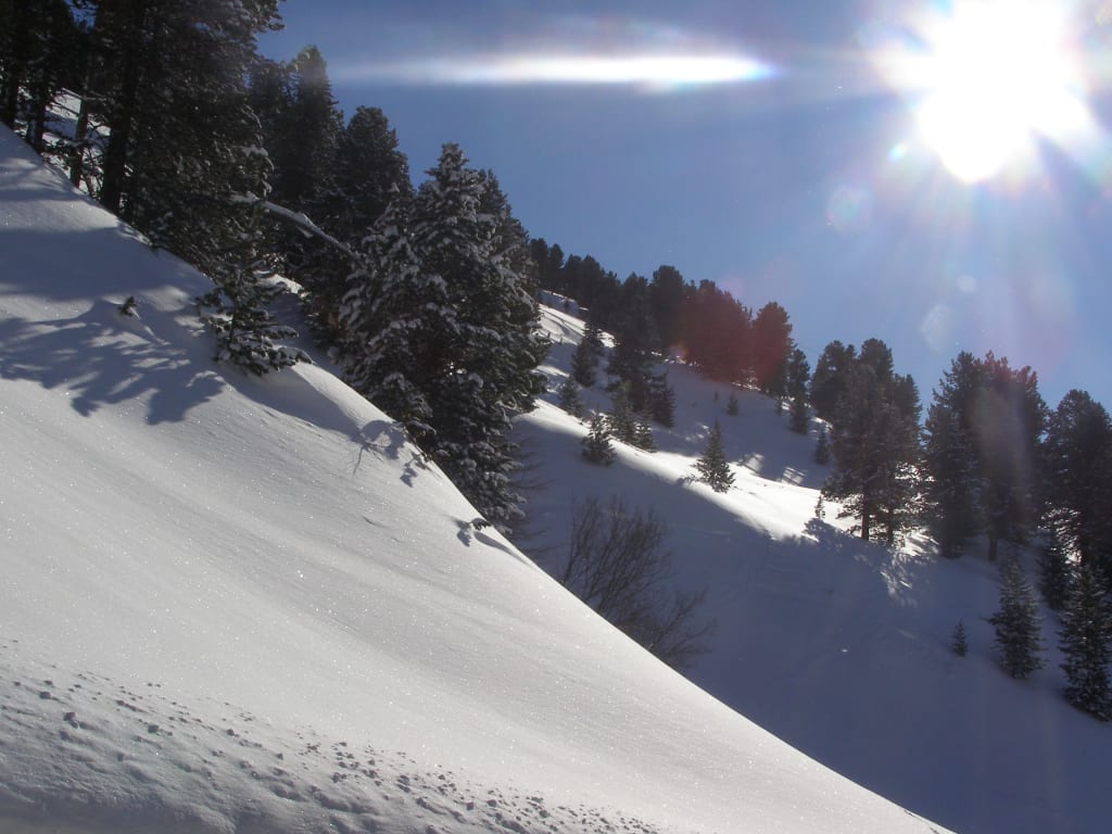 Schneebedeckter Berghang mit Nadelbäumen bei Sonnenlicht
