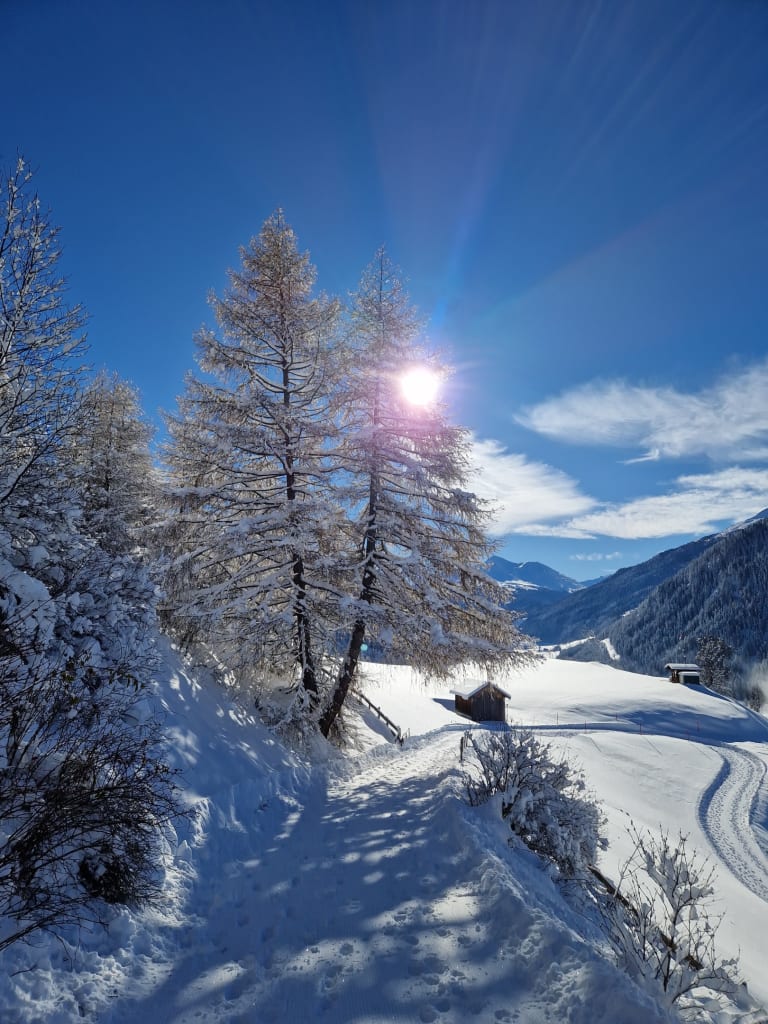Winterlandschap met besneeuwde bomen, hutten en zonnige lucht