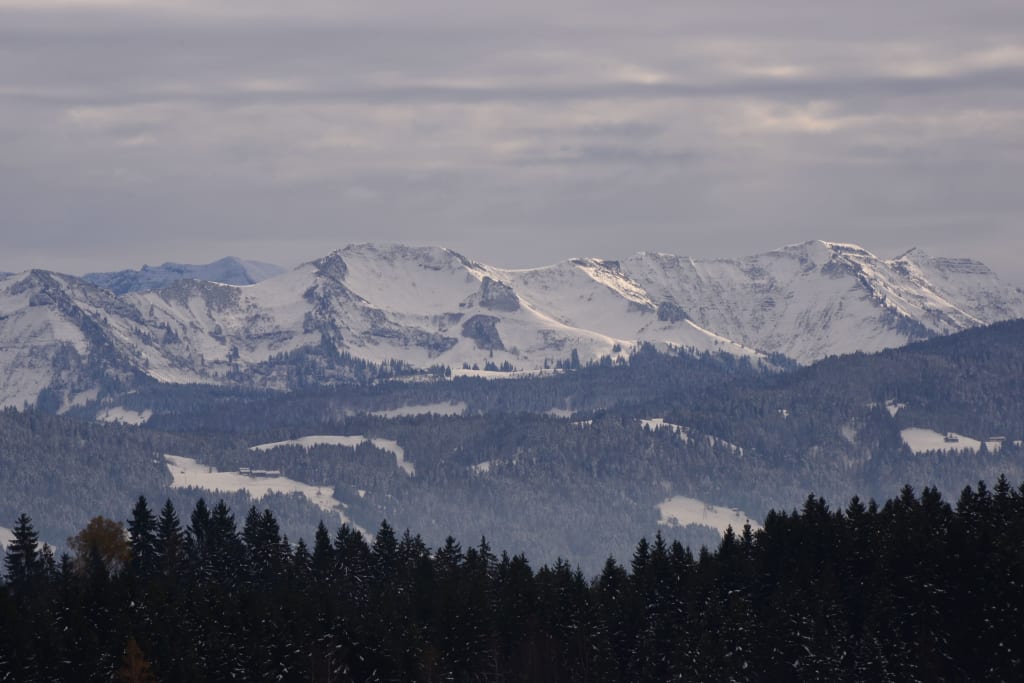 Schneebedeckte Berge mit dunklem Wald darunter und bewölktem Himmel